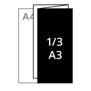 1/3 A3