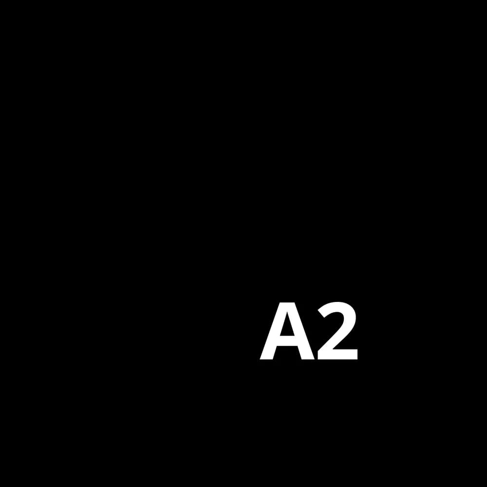 A2