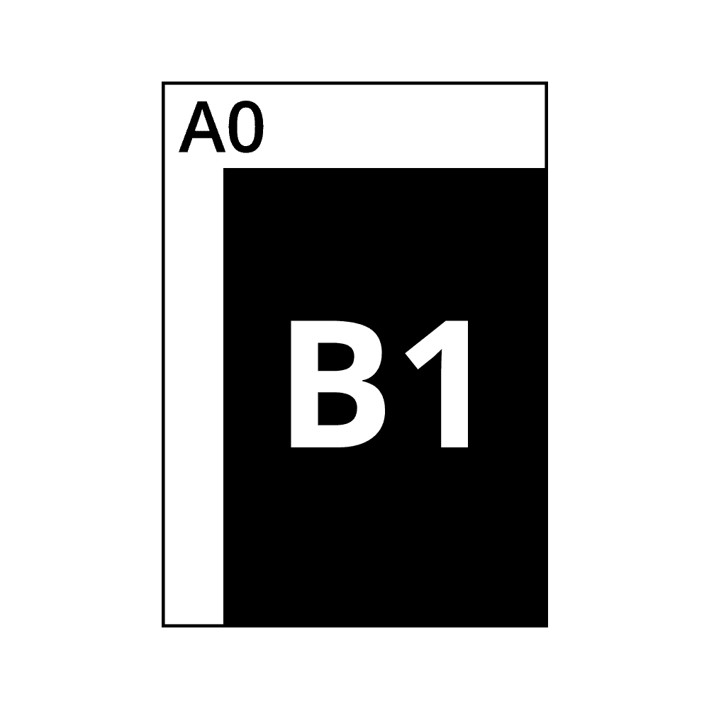 B1
