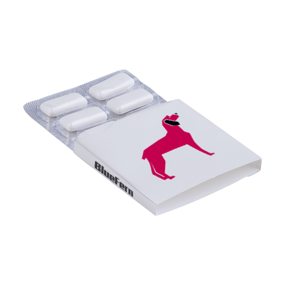 Chewing Gum 6 Pieces